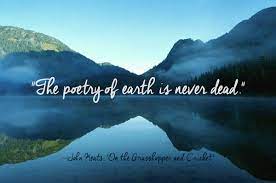 Sometimes all it takes to turn your day around is an encouraging word. 24 Of The Most Beautiful Quotes About Nature