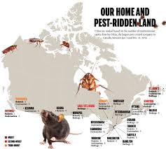 Bed bugs are nocturnal and shelter in a variety of dark locations, including under mattresses, bed frames, walls, cracks and crevices, floorboards homepro pest control has a comprehensive process to systematically eradicate bed bugs from every possible hiding space, effectively removing. Are Bed Bug Bylaws A Good Idea Macleans Ca