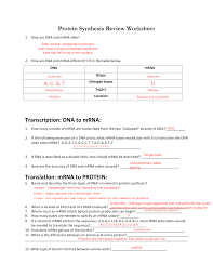 Protein Synthesis Worksheet