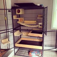 Beautiful Two Level Chinchilla Cage Setup With Lots Of Wooden Ledges And Hideouts Chinchilla Cage Rat Cage Rat Cage Accessories