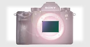 6 Top Cameras For 2020 Under 5 000 Improve Photography