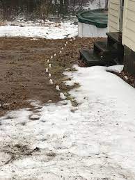 Snow plowers charge $25 to $75 per hour, with contract prices at $200 to $600 per season. The Way The Snow Melted Left A Trail Of Snowballs In My Yard Mildlyinteresting
