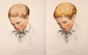 News, author interviews, critics' picks and more. Pin On Illustration