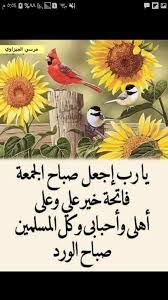 صباح الخير القدس جمعة مباركة rooster animals
