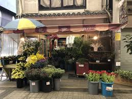 岸和田 花屋 おしゃれ