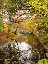 Op 95 km ten zuidwesten van boedapest bevindt zich de bekendste bezienswaardigheid van de natuur in hongarije: Budapest Hungary Hongarije