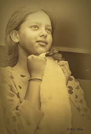 Robert Bolla — Webster Arts