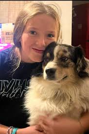 Found cat near Imperial middle school with collar and AirTag