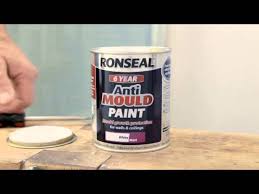 I live in a 1910 terrace. How To Prevent Mould In The Bathroom With Anti Mould Paint Youtube