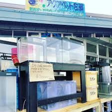 おはようございます 本日 スタッフ3名で開店致しました 日頃の疑問 お悩みご相談ください 中古水槽も販売しております ご来店お待ちしております アクアペット佐賀 熱帯魚 佐賀 アクアリウム 爬虫類 水槽 ウサギ トライアル上峰店 上峰 instagram