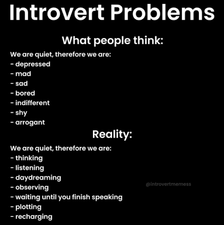 Introvert Memes | So true | Instagram