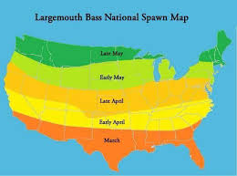 Bass Spawn Chart Bass Fishing Tips Bass Fishing Fishing Tips