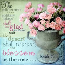 #gshow #umbanda #novomundo #annaquim #umbandasaber #oxala. Blossom As The Rose Isaiah 35 1 2 Gracie Creswell