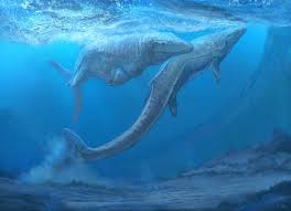 Image result for Mosasaurus
