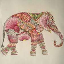 Pin By Gabi Hackenberg On Pinturas Do Livro Jardim Secreto Millie Marotta Coloring Book Animal Kingdom Colouring Book Millie Marotta Animal Kingdom