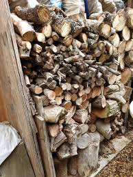 Different wood types have different drying requirements. How Long Firewood Should Be Seasoned For Fireplace Universe