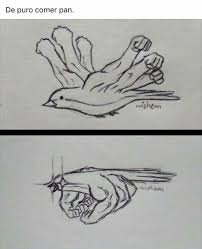 Pin By Juicegoose On Momasos Funny Drawings Stupid Funny Memes Funny Images