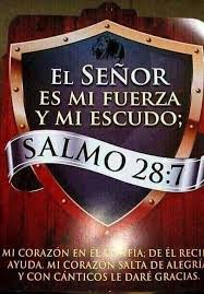 Pin On Amor