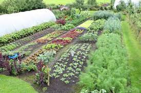 Welcome To The Website Of Charles Dowding Www Charlesdowding Co Uk Dig Gardens Organic Vegetable Garden Vegetable Garden