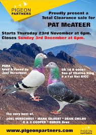 Pat McAteer Complete Clearance Sale