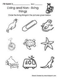 Living And Non Living Things Science Center Preschool School Science Experiments Kindergarten Science