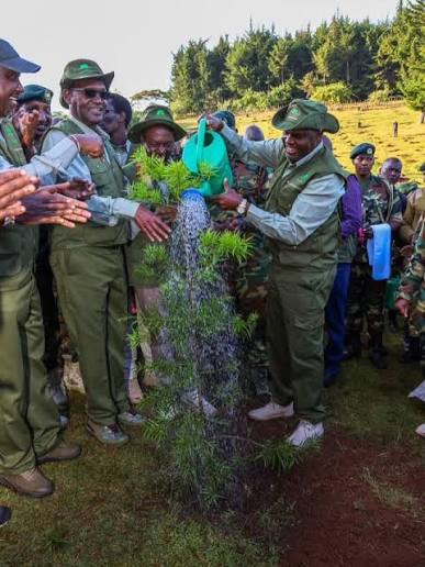 Kenya Forest Service and Furaha & Baraka Farms Sign Framework of Collaboration to Restore 3,000 Hectares of Mangroves The Kenya Forest Service (KFS) has officially entered into a Framework of Collaboration (FOC)