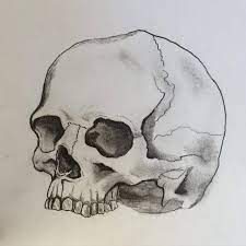 Style calaveras, patchwork de dessins réalisé sur illustrator , dans le thème mexicain , jour de la fête des morts. Untitled Hard Work Patience Dessin Cliente Draw Idea