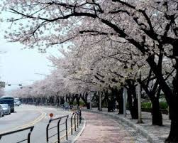 Foto Pemandangan Korea Di 2020 Pemandangan Tempat Liburan Korea Selatan