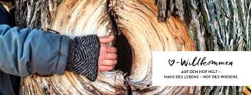 Profile for Hof No.7