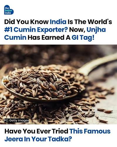 Unjha cumin 