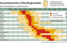 Betroffene sollten zunächst darauf achten, wann der pollenflug stark ist und wie häufig er auftritt. Pollenflug Vorhersage Fur Koln Und Die Region
