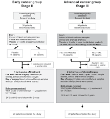 Adjuvant Effect of Molecular Iodine in Conventional Chemotherapy for Breast  Cancer. Randomized Pilot Study