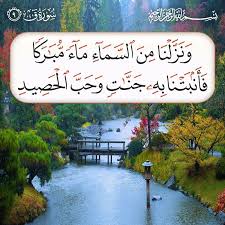 و ن ز ل ن ا م ن الس م اء م اء م ب ار ك ا ف أ ن ب ت ن ا ب ه ج ن ات و ح ب ال ح ص يد ق 9 Quran Verses Prayer For The Day Holy Quran