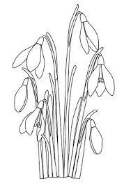 Click Snowdrop Flower Coloring Page For Printable Version Art Inspiration Flower Drawing Floral Drawing