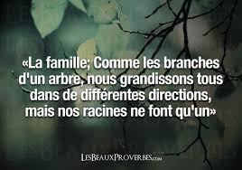 Les Beaux Proverbes Proverbes Citations Et Pensees Positives Citation Pensee Les Beaux Proverbes Citation