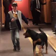 Ncis - The North Pole - Review