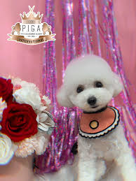 Asian style (part 3). 100% student work #GroomerGiangTrinh #AsianStyle