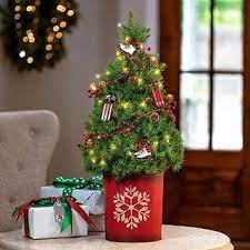Christmas tree shop portland maine hours. Pin By Searchwallpaper On Christmas Searchwallpaper Tree Shop Christmas Christmas Wreaths