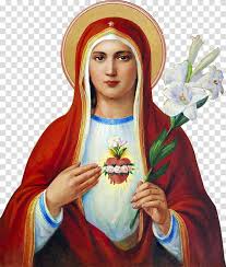 131 best images about immaculate mary on pinterest. Immaculate Heart Of Mary Sacred Heart Feast Of The Immaculate Conception Mary Transparent Background Png Clipart Png Free Transparent Image