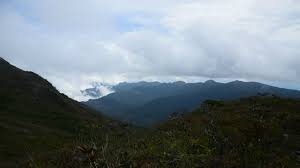 Taman negara kuala tahan, pahang merupakan salah satu tempat percutian yang popular dan dikategorikan antara hutan simpan paling tua di dunia. Gunung Tahan Trekking Taman Negara Malaysia