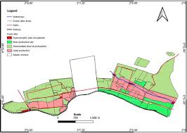 Image result for Pseudoeriosema borianii