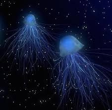 Un séjour qui a resserré temporairement ses liens avec myriam et thomas. Quels Sont Les Animaux Qui Brillent Dans Le Noir Top 7