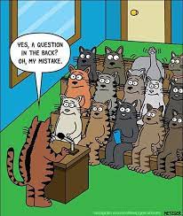 Fresh And Funny Cat Comics By The Brilliant Scott Metzger Cat Jokes Cat Comics Funny Cats