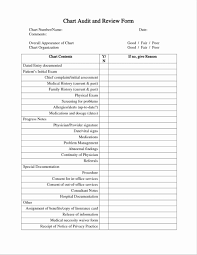 18 valid medical chart audit form