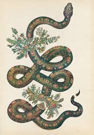 Pin By Anna Dhellem On Illustration Snake Illustration Snake Art Drawings