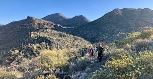 There are basically ve mountain ranges encircling greater tucson. Tortolita Mountains Loop Cycle Uphill