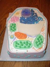 We did not find results for: Plant Cell Cake 3 Steps With Pictures Instructables