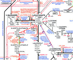 Enabling The Exploration Of Biochemical Pathways Organic