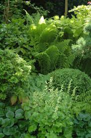 Garden Design Ideas A Lovely Combination Of Shade Loving Plants With A Nice Contrast In Shapes And Shade Garden Schaduwtuin Tuin