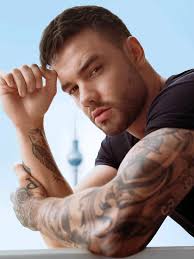 Michael Fleischmann Liam Payne